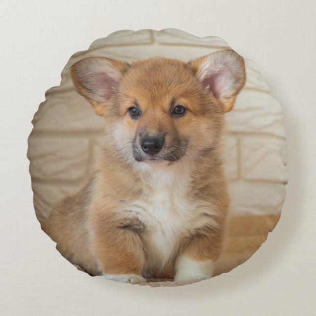 Corgi Hond Foto Rond Kussen (Voorkant)