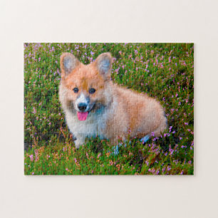 Corgi-hond. Legpuzzel