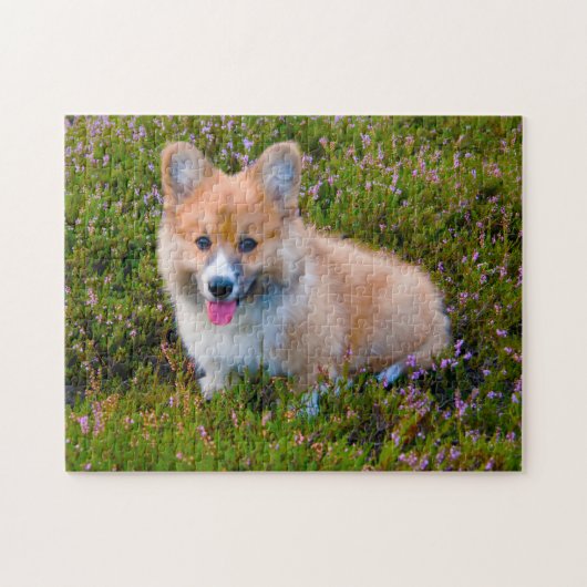Corgi-hond. Legpuzzel (Horizontaal)