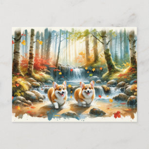 Corgi honden in een bosrijke stroom met herfstkleu briefkaart