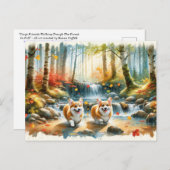 Corgi honden in een bosrijke stroom met herfstkleu briefkaart (Voorkant / Achterkant)