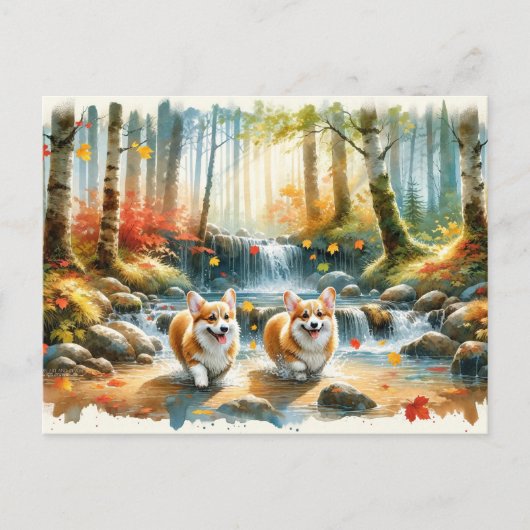 Corgi honden in een bosrijke stroom met herfstkleu briefkaart (Voorkant)