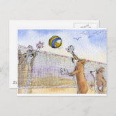 Corgi-hondenstrand volleyball briefkaart (Voorkant / Achterkant)