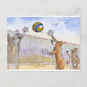 Corgi-hondenstrand volleyball briefkaart