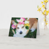 Corgi in bloemenkrans lege wenskaart kaart (Gele Bloem)