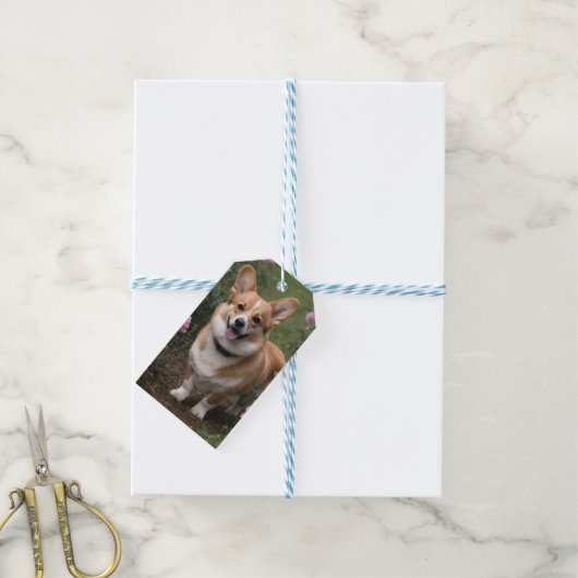 Corgi in de roze rozen, cadeaulabel (Met Touw)