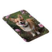 Corgi in de roze rozen, magneet (Rechterzijde)