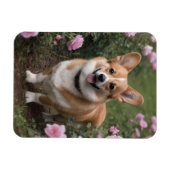 Corgi in de roze rozen, magneet (Horizontaal)