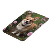 Corgi in de roze rozen, magneet (Linkerzijde)