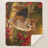 Corgi in de Rozen V Sherpa Deken (Voorkant)