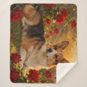 Corgi in de Rozen VI Sherpa Deken (Voorkant)