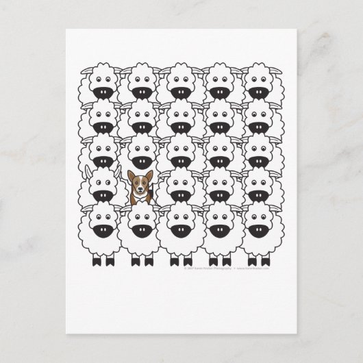 Corgi in de schapen briefkaart (Voorkant)