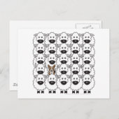 Corgi in de schapen briefkaart (Voorkant / Achterkant)