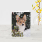 Corgi in de sneeuw kaart (Gele Bloem)