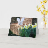 Corgi in een mandje Pasen wenskaart Kaart (Gele Bloem)