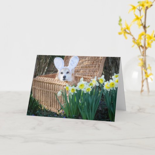 Corgi in een mandje Pasen wenskaart Kaart (Gele Bloem)