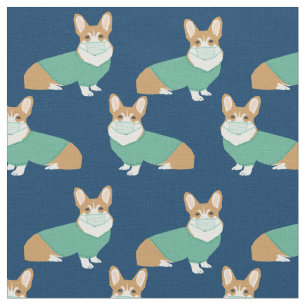 corgi in scène gezet door marinezuster blauw stof