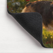 Corgi in the Roses IV Muismat (Hoek)