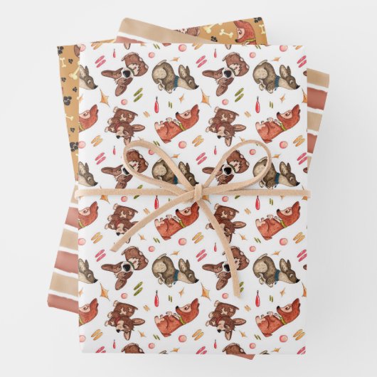 Corgi Inpakpapier Vel (In situ)