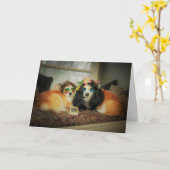 Corgi Jubileum Kaart (Gele Bloem)