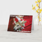 Corgi Kerstkaart Kaart (Gele Bloem)