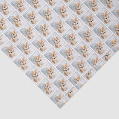 Corgi Kerstmis Tissuepapier (Detail)