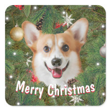 Corgi Kerstmis