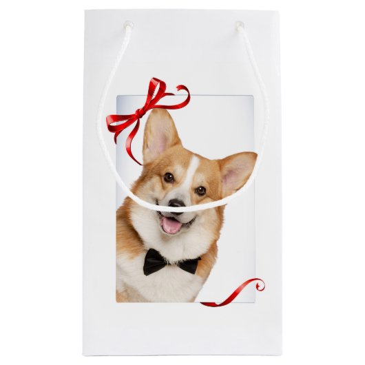 Corgi Klein Cadeauzakje (Achterkant)