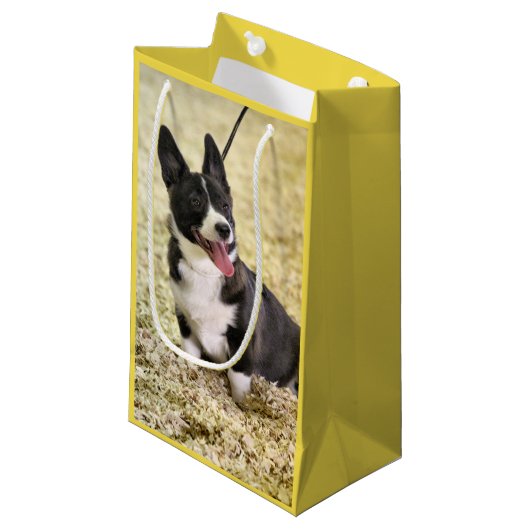 Corgi Klein Cadeauzakje (Voorkant Gekanteld)