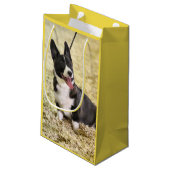 Corgi Klein Cadeauzakje (Achterkant Gekanteld)