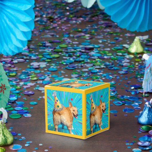 Corgi Kont Verjaardagshoed Bedankdoosjes (Feest)
