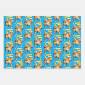 Corgi Kont Verjaardagshoed Inpakpapier Vel (Voorkant 3)