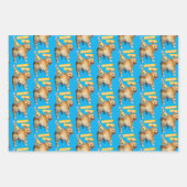 Corgi Kont Verjaardagshoed Inpakpapier Vel (Voorkant)