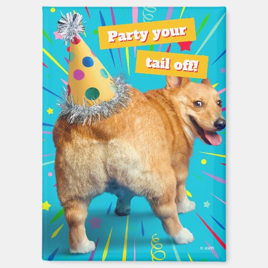 Corgi Kont Verjaardagshoed Magneet (Voorkant)