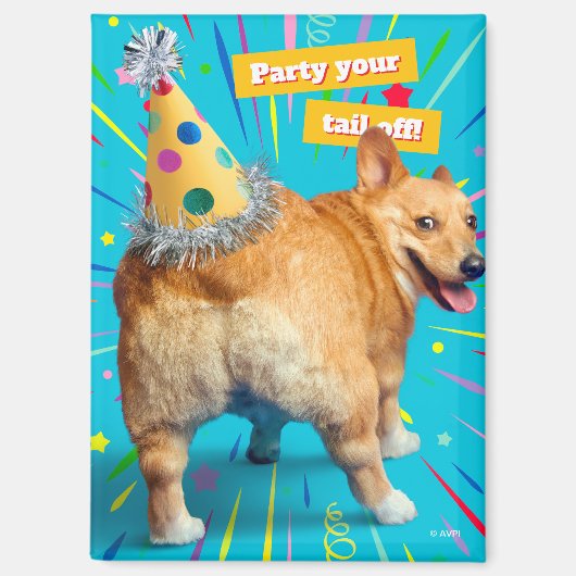 Corgi Kont Verjaardagshoed Magneet (Voorkant)