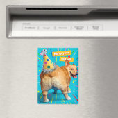 Corgi Kont Verjaardagshoed Magneet (Insitu (Vaatwasser))