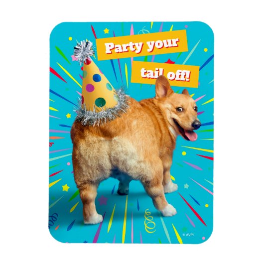 Corgi Kont Verjaardagshoed Magneet (Verticaal)