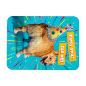 Corgi Kont Verjaardagshoed Magneet (Horizontaal)
