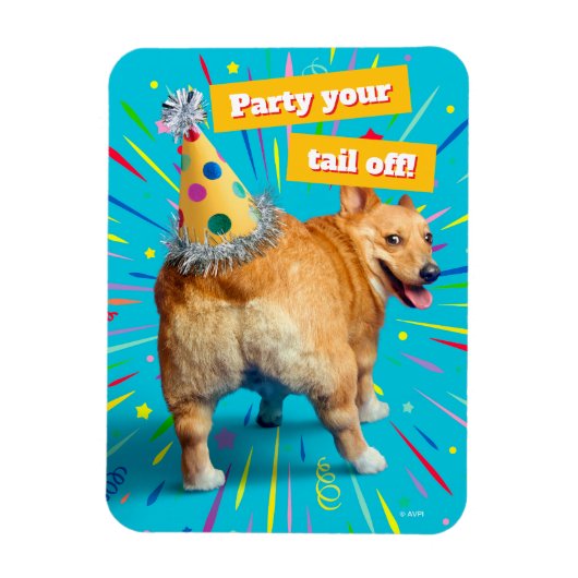 Corgi Kont Verjaardagshoed Magneet (Verticaal)