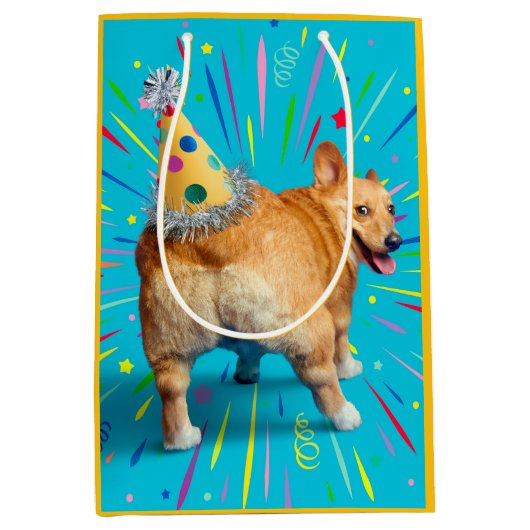 Corgi Kont Verjaardagshoed Medium Cadeauzakje (Voorkant)