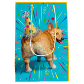 Corgi Kont Verjaardagshoed Medium Cadeauzakje (Achterkant)