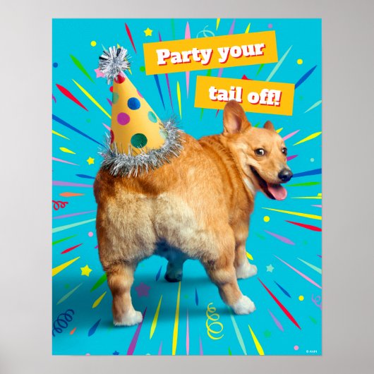 Corgi Kont Verjaardagshoed Poster (Voorkant)
