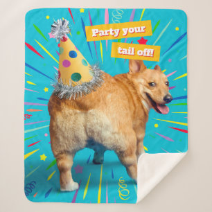 Corgi Kont Verjaardagshoed Sherpa Deken