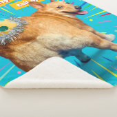 Corgi Kont Verjaardagshoed Sherpa Deken (3/4)