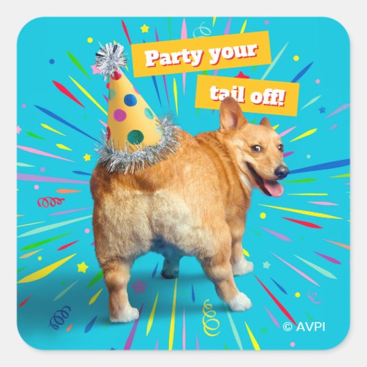 Corgi Kont Verjaardagshoed Vierkante Sticker (Voorkant)