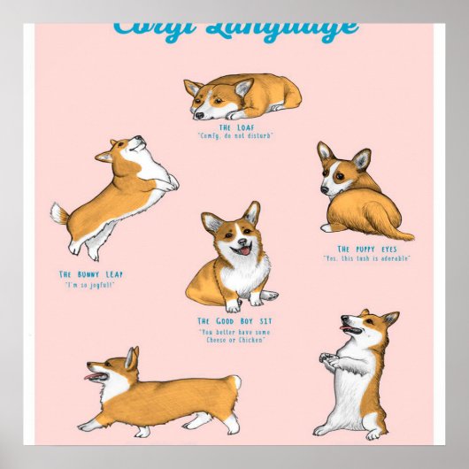 Corgi Language Print (Voorkant)