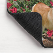 Corgi loopt met Butterflies Muismat (Hoek)
