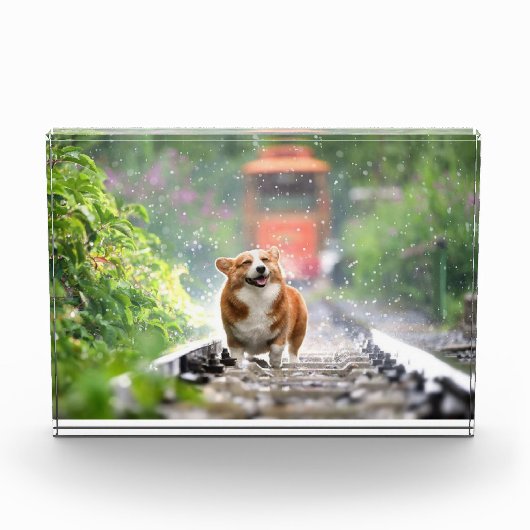 Corgi loopt op het spoor fotoblokken (Voorkant)