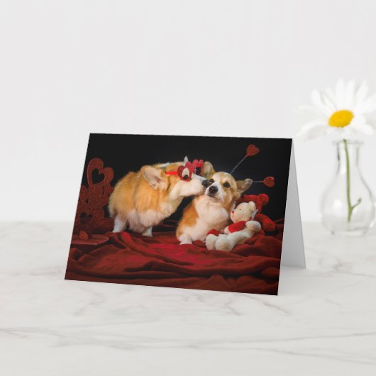 Corgi Lovers Jubileum card Kaart (Kleine Plant)