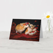 Corgi Lovers Jubileum card